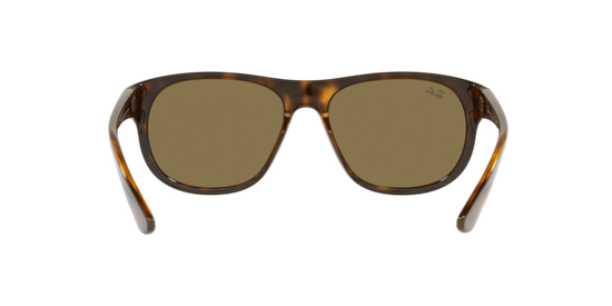 Ray-Ban Sunglasses RB4351 710/73