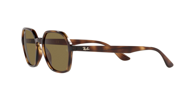 Ray-Ban Sunglasses RB4361 710/73