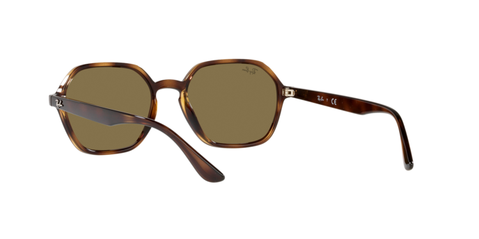 Ray-Ban Sunglasses RB4361 710/73