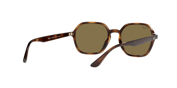 Ray-Ban Sunglasses RB4361 710/73