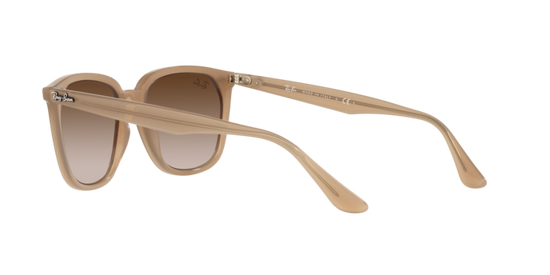 Ray-Ban Sunglasses RB4362 616613