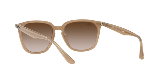 Ray-Ban Sunglasses RB4362 616613