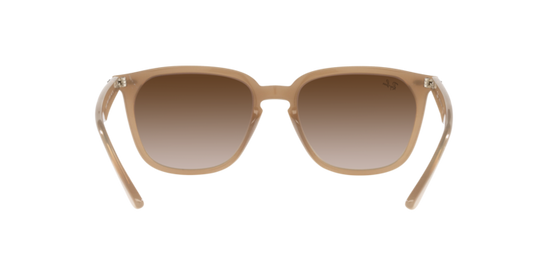 Ray-Ban Sunglasses RB4362 616613