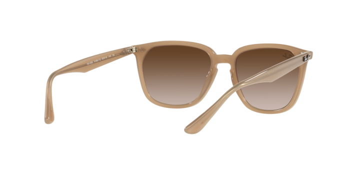 Ray-Ban Sunglasses RB4362 616613