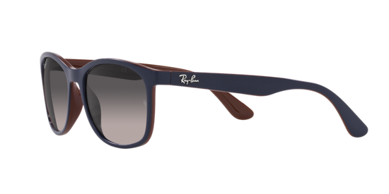 Ray-Ban Sunglasses RB4374 6601M3