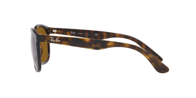 Ray-Ban Sunglasses RB4374 710/33