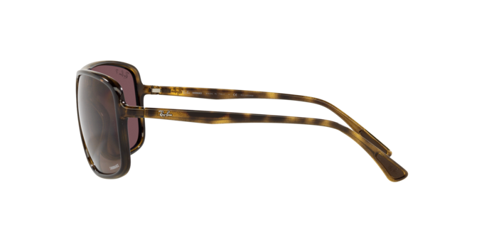 Ray-Ban Sunglasses RB4375 710/BC