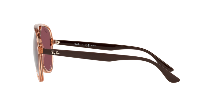 Ray-Ban Sunglasses RB4376 66025Q