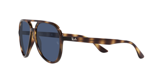 Ray-Ban Sunglasses RB4376 710/80