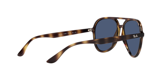 Ray-Ban Sunglasses RB4376 710/80