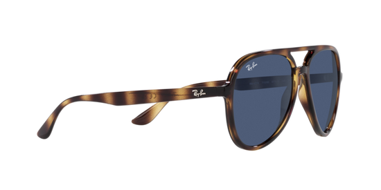 Ray-Ban Sunglasses RB4376 710/80