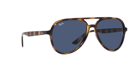 Ray-Ban Sunglasses RB4376 710/80