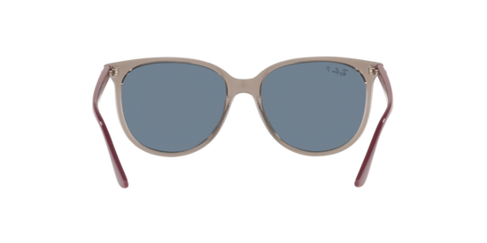 Ray-Ban Sunglasses RB4378 65722V