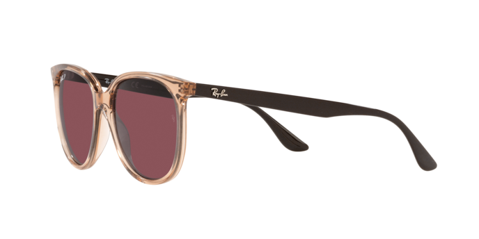 Ray-Ban Sunglasses RB4378 66025Q