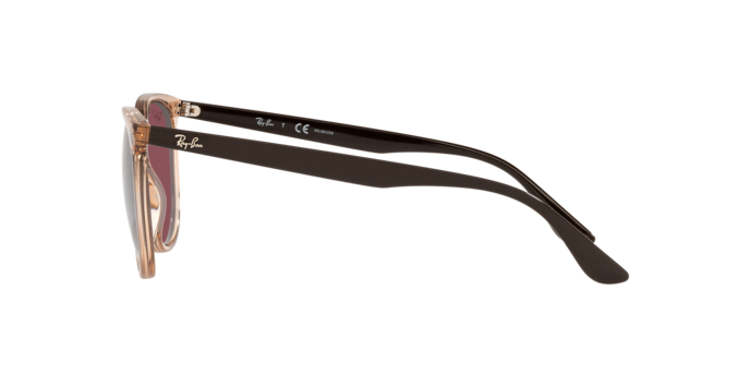 Ray-Ban Sunglasses RB4378 66025Q