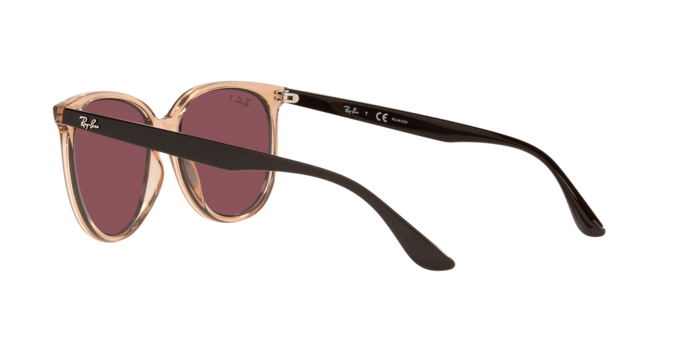 Ray-Ban Sunglasses RB4378 66025Q