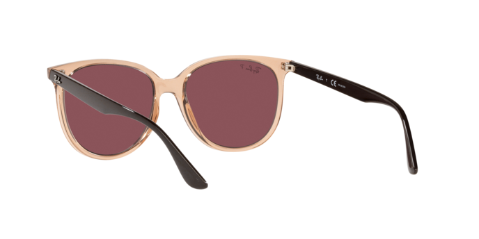 Ray-Ban Sunglasses RB4378 66025Q