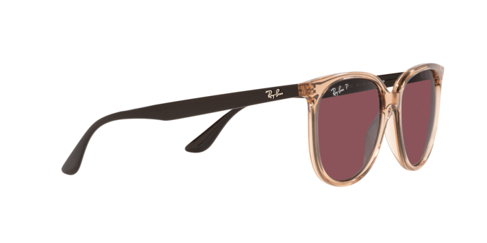 Ray-Ban Sunglasses RB4378 66025Q