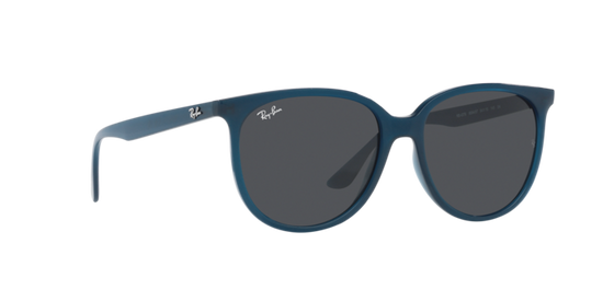 Ray-Ban Sunglasses RB4378 669487