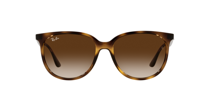 Ray-Ban Sunglasses RB4378 710/13