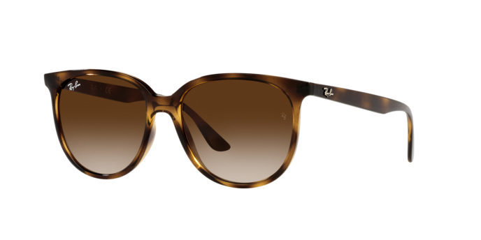Ray-Ban Sunglasses RB4378 710/13