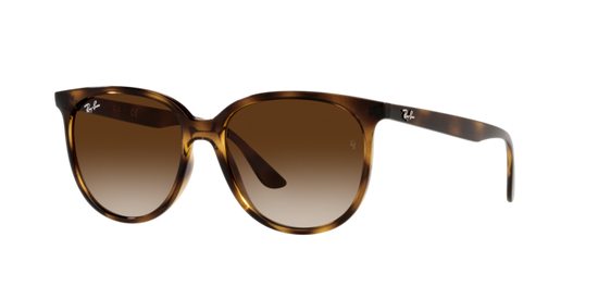 Ray-Ban Sunglasses RB4378 710/13