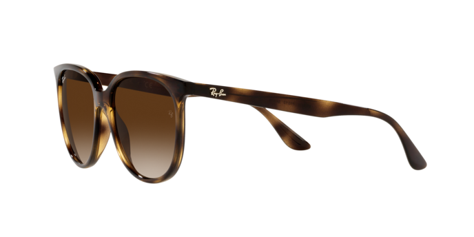 Ray-Ban Sunglasses RB4378 710/13