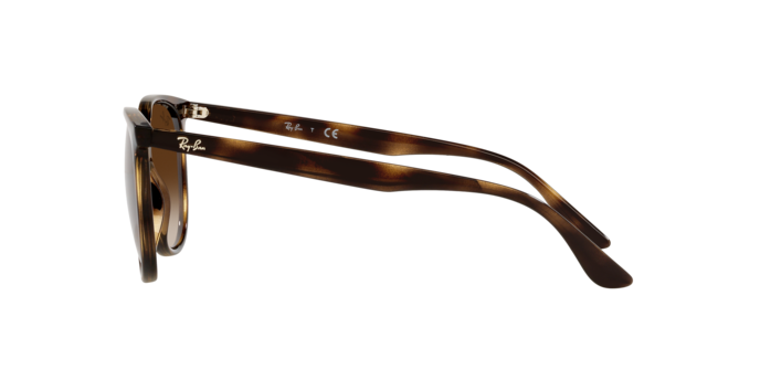 Ray-Ban Sunglasses RB4378 710/13