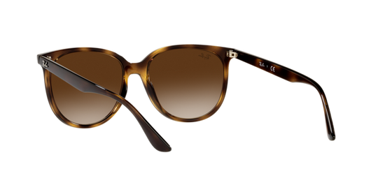 Ray-Ban Sunglasses RB4378 710/13