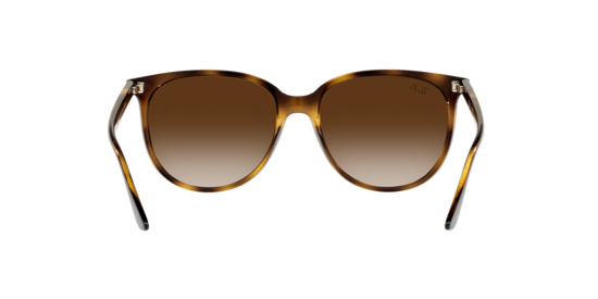 Ray-Ban Sunglasses RB4378 710/13