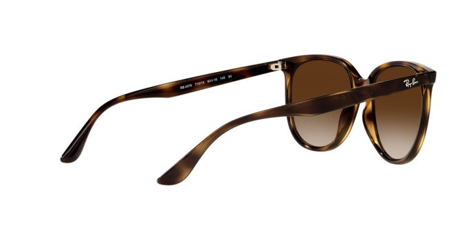 Ray-Ban Sunglasses RB4378 710/13