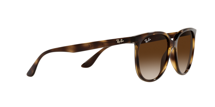 Ray-Ban Sunglasses RB4378 710/13