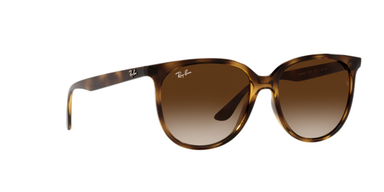 Ray-Ban Sunglasses RB4378 710/13