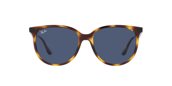 Ray-Ban Sunglasses RB4378 710/80