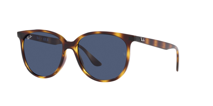 Ray-Ban Sunglasses RB4378 710/80