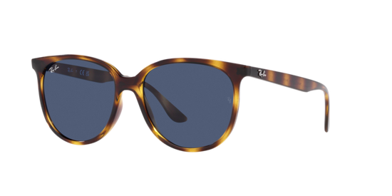 Ray-Ban Sunglasses RB4378 710/80