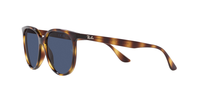 Ray-Ban Sunglasses RB4378 710/80