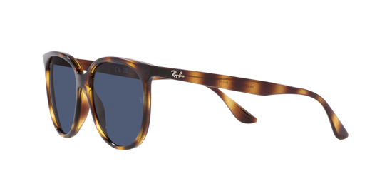 Ray-Ban Sunglasses RB4378 710/80