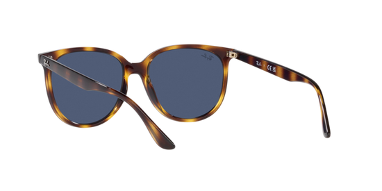 Ray-Ban Sunglasses RB4378 710/80