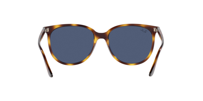 Ray-Ban Sunglasses RB4378 710/80