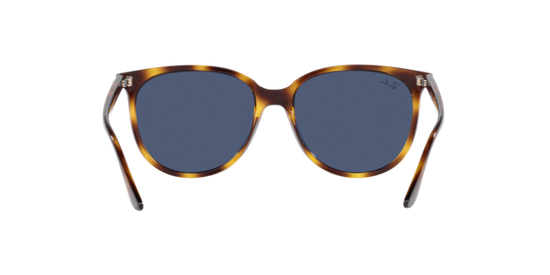 Ray-Ban Sunglasses RB4378 710/80