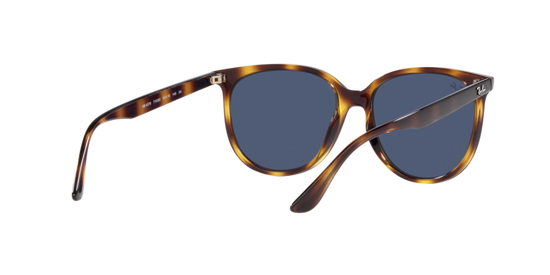 Ray-Ban Sunglasses RB4378 710/80