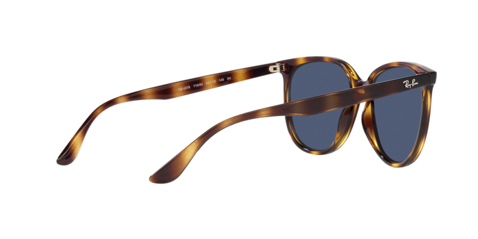 Ray-Ban Sunglasses RB4378 710/80