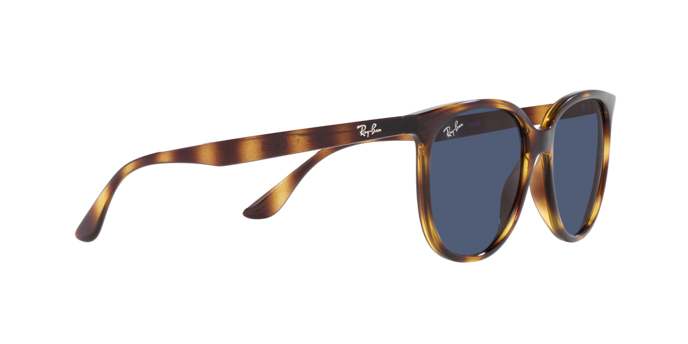 Ray-Ban Sunglasses RB4378 710/80