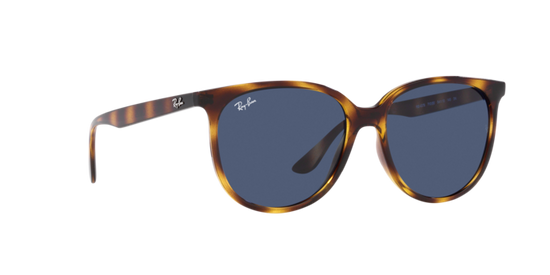 Ray-Ban Sunglasses RB4378 710/80