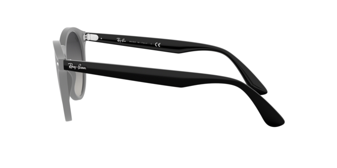 Ray-Ban Blaze Panthos Sunglasses RB4380N 64158G