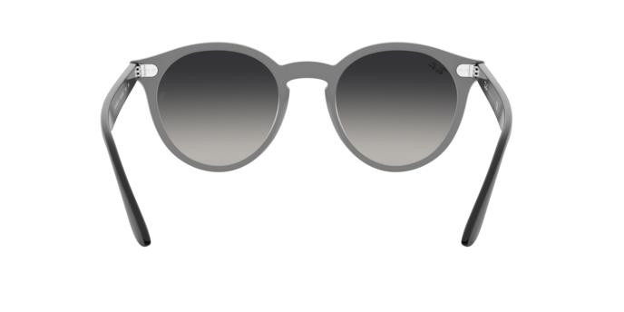 Ray-Ban Blaze Panthos Sunglasses RB4380N 64158G