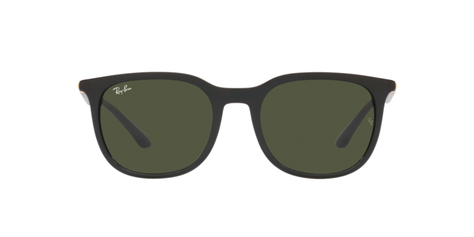 Ray-Ban Sunglasses RB4386 601/31