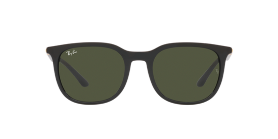 Ray-Ban Sunglasses RB4386 601/31