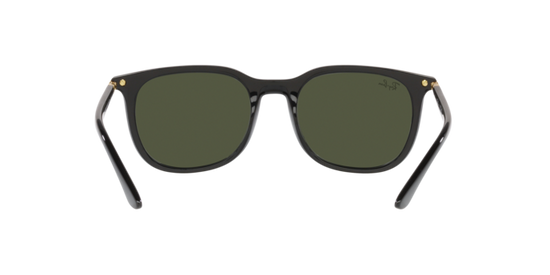 Ray-Ban Sunglasses RB4386 601/31